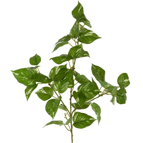 Pothos Leaf Spray P235