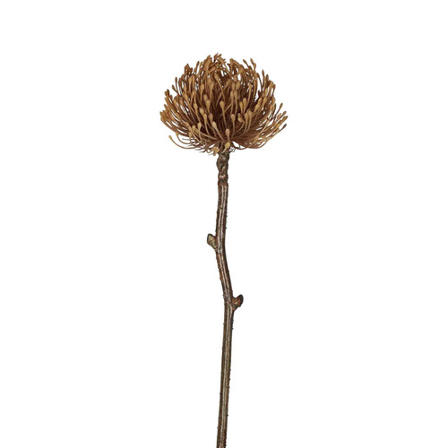 Pincushion Faux Dried p57