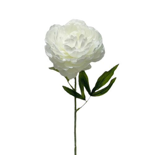 Large Peony White P705WH