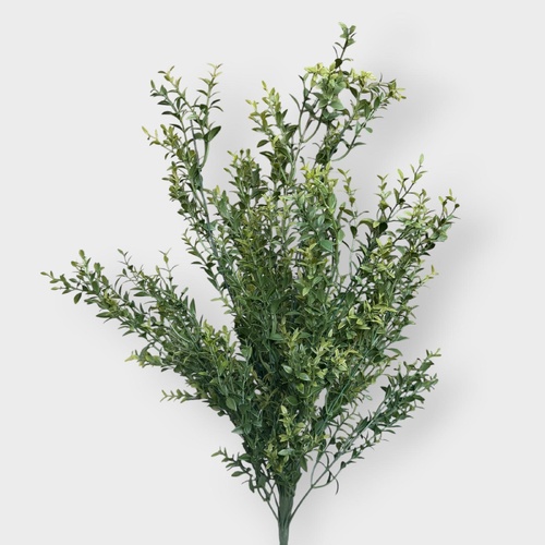 Boxwood Bush PL118GN