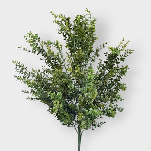 Hedge Bush PL119GN