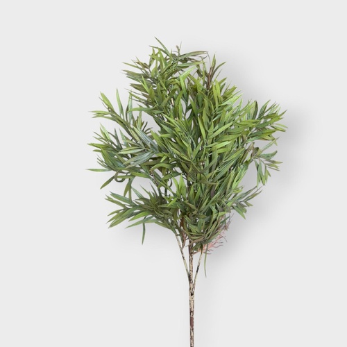 Grevillia Bush PL198GNBN