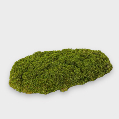 Moss Pad PL203DKGN
