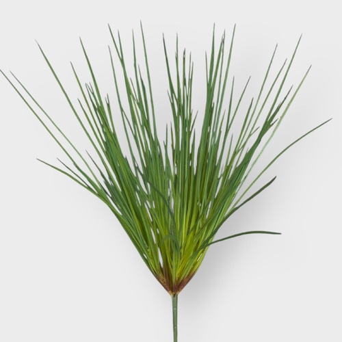 Mondo Grass Bush PL210GN