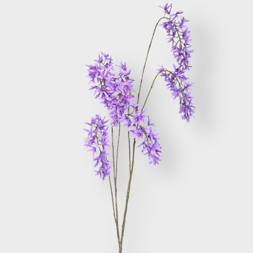 Wisteria Spray Q102LAV