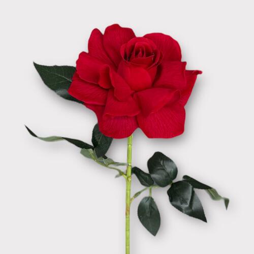 Single Velvet Rose QD0001-BRD 