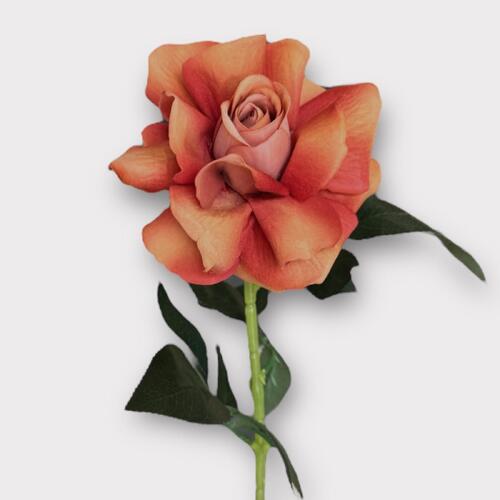 Single Velvet Rose QD0001-BWN
