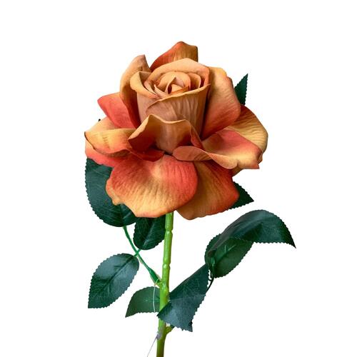 Single Velvet Brown Rose
