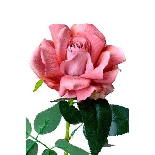 Single Velvet Rose