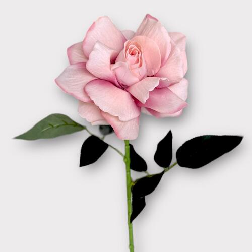 Single Velvet Rose QD0001-PNK