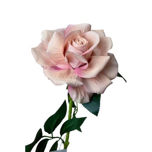 Single Velvet Rose QD0001-PNK