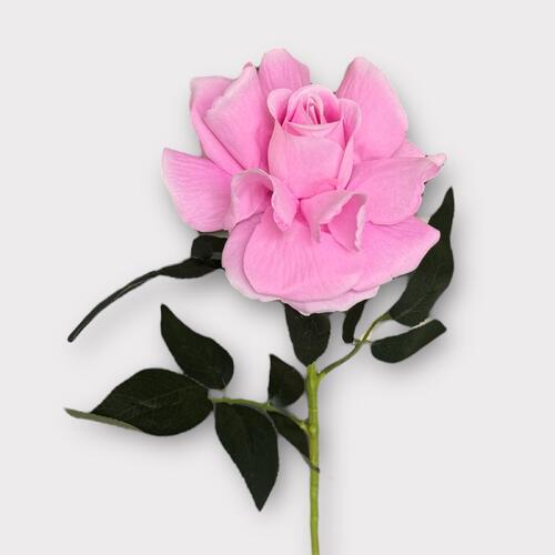 Single Velvet Rose QD0001-SPNK 