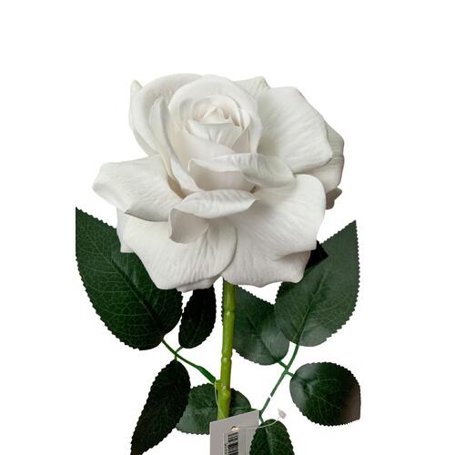 Single Velvet Rose White