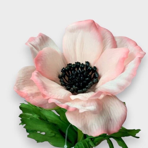 Real touch Anemone Soft Pink