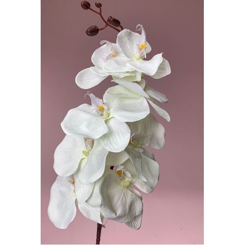 Phalaenopsis Orchid White - Silkflora