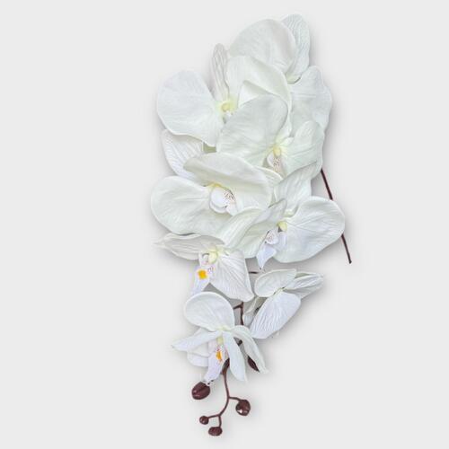 Phalaenopsis Orchid White - Silkflora