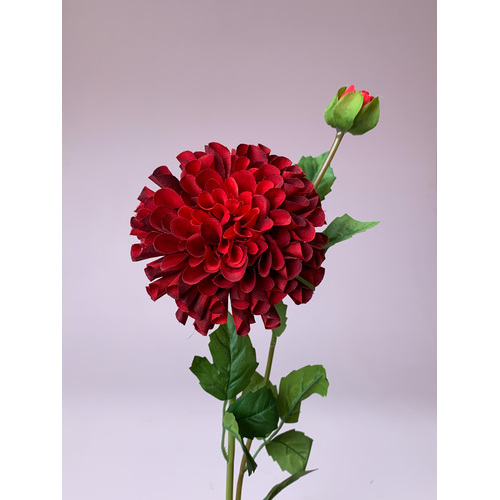 Pom Pom Dahlia QD0004-RED