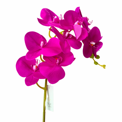 Real Touch Phalaenopsis Orchid QD007-MAG