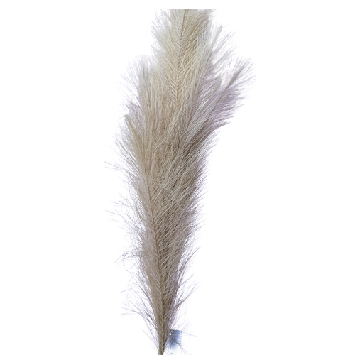 Luxury Pampas Beige QD0008-BG