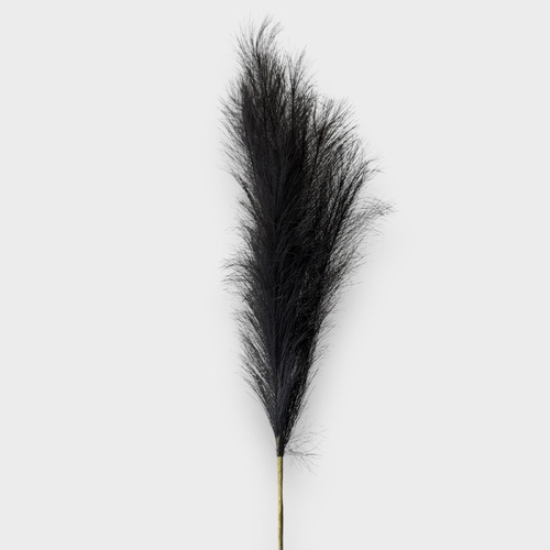 Luxury Pampas Black QD0008-BK