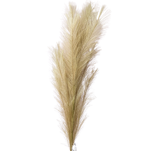 Luxury Pampas Brown QD0008-LBR