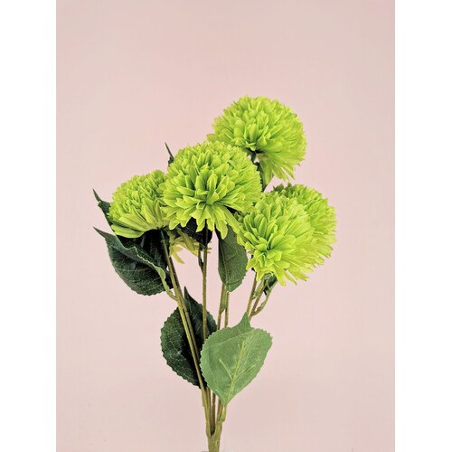 Chrysanthemum Bunch QD0009-GRN