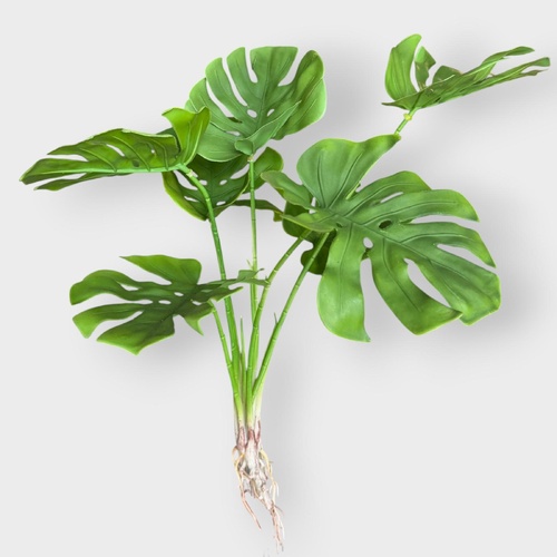 Monstera Leaf Bunch QD0014