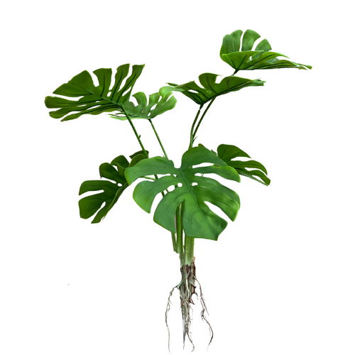 Monstera Leaf Bunch QD0014