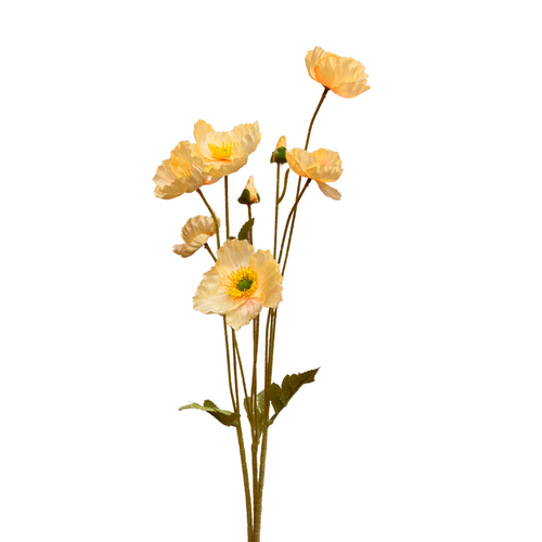 Poppy Large spray QD0018-CHAM