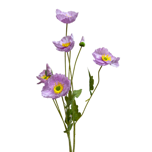 Poppy Large spray QD0018-LIL