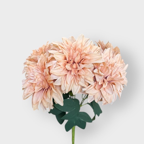 Dahlia Bunch 7 heads QD0019-LBRN