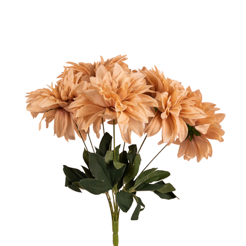 Dahlia Bunch 7 heads QD0019-LBRN