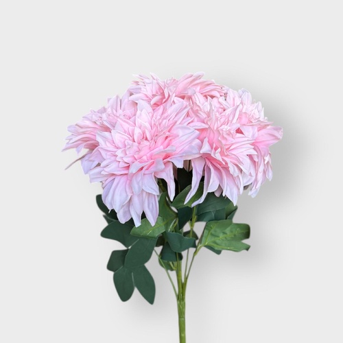 Dahlia Bunch 7 heads QD0019-LPNK
