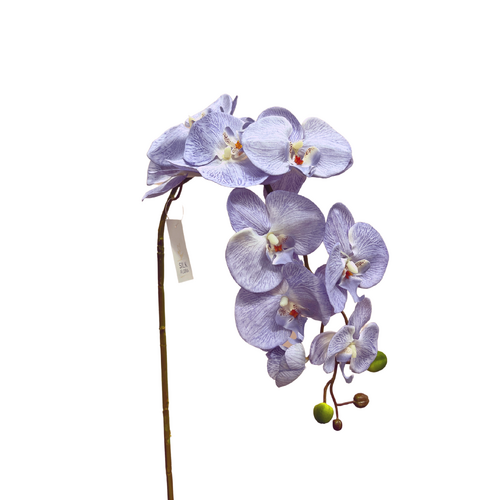 Silk Phalaenopsis Orchid QD0021-LAV