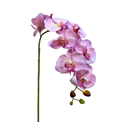 Silk Phalaenopsis Orchid QD0021-LIL