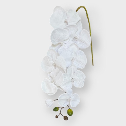 Silk Phalaenopsis Orchid QD0021-PWHT