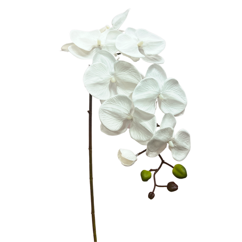 Silk Phalaenopsis Orchid QD0021-PWHT
