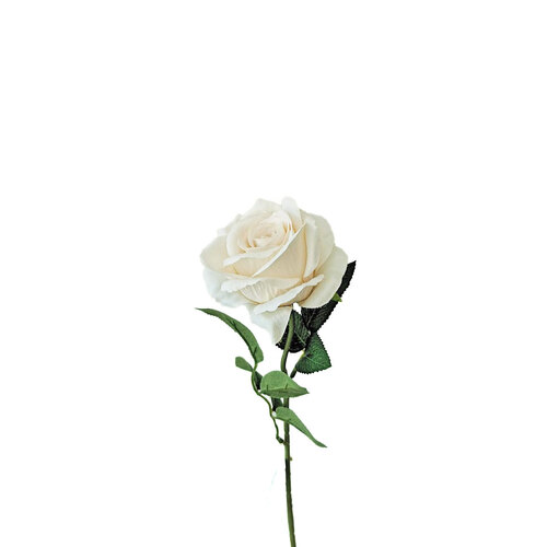 Silk Rose QD0024-IV