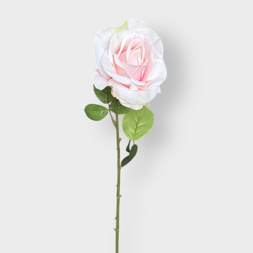 Single Silk Susie Rose QD0026-BS