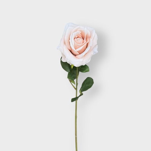 Single Silk Susie Rose QD0026-SND