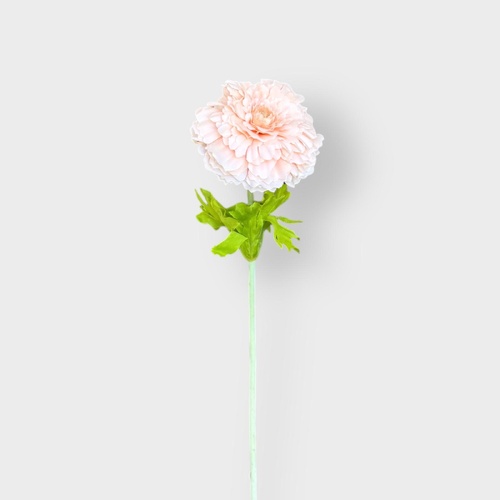 Marigold QD0028-PCH