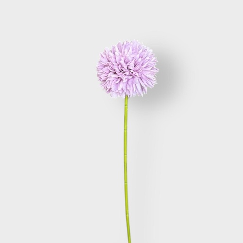 Mini Chrysanthemum QD0031-LI