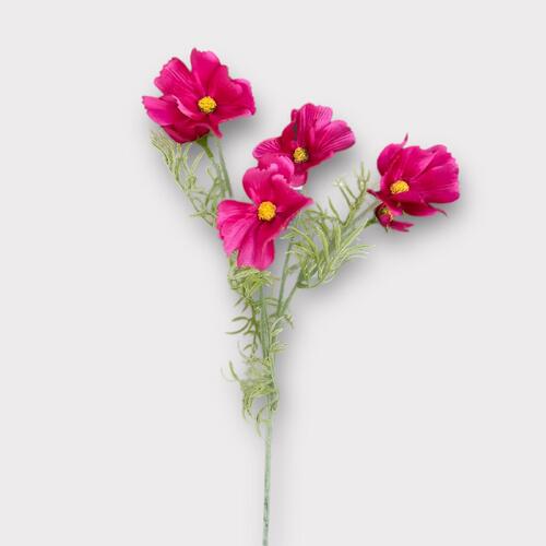 Cosmos Spray QD0033-HPNK