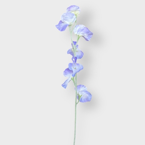 Sweet Pea spray QD0034-LI