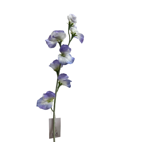 Sweet Pea spray QD0034-LI