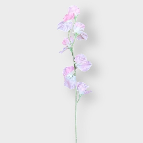 Sweet Pea spray QD0034-LP