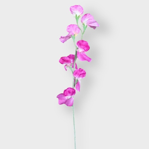 Sweet Pea spray QD0034-MG