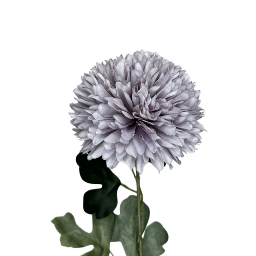 Chrysanthemum Tall QD0036-LI