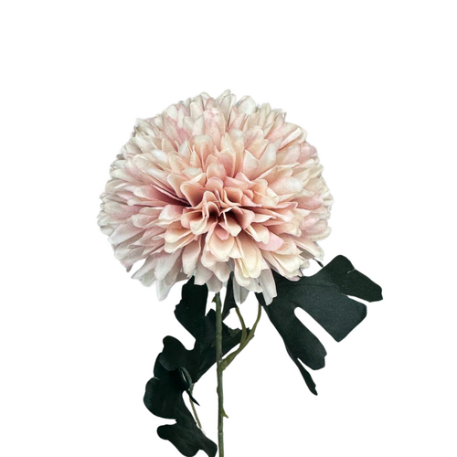 Chrysanthemum Tall QD0036-LPK