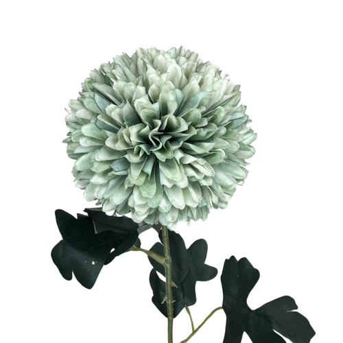 Chrysanthemum Tall QD0036-MINT